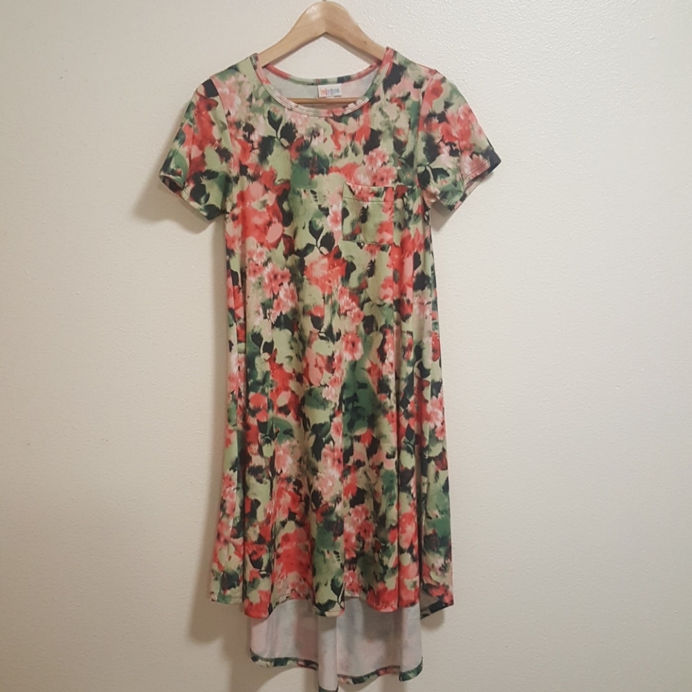 Water color Floral Carly Lularoe xxs